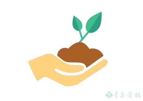 富贵竹怎么养教程,富贵竹万年竹