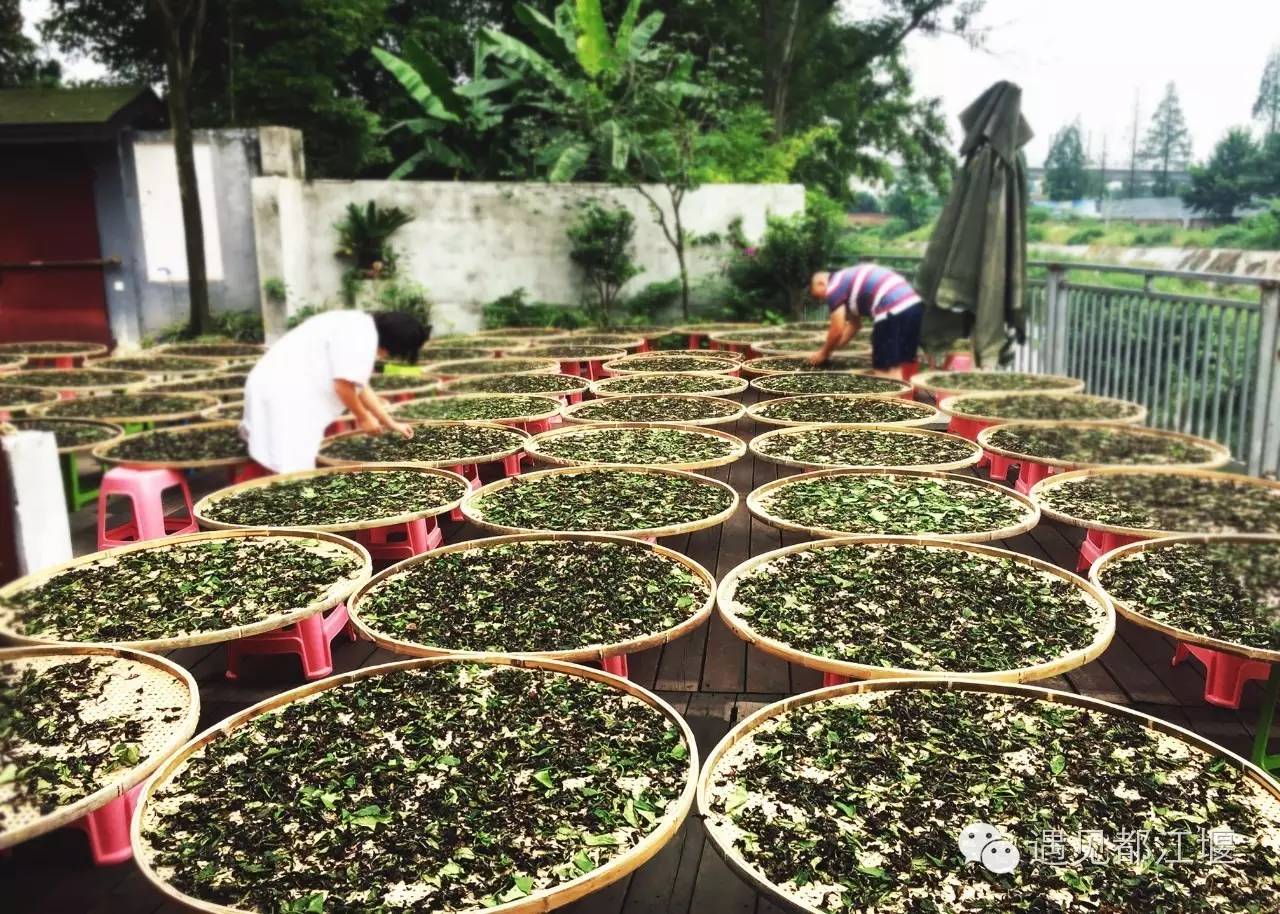 白鹭湾什么样,白鹭湾现在什么样子