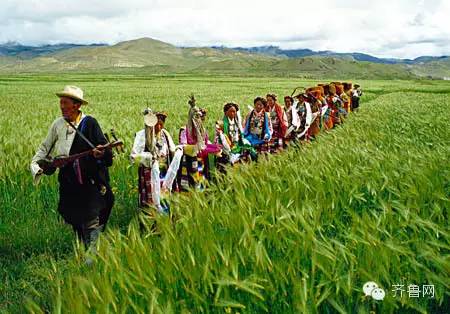去西藏林芝旅行,去西藏林芝有什么风景