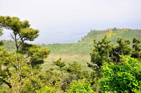 济州岛火山是活火山吗,火山遗址