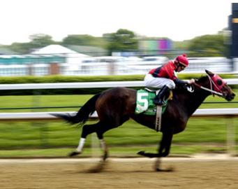 马中博尔特,博尔特同款紫金战靴2017