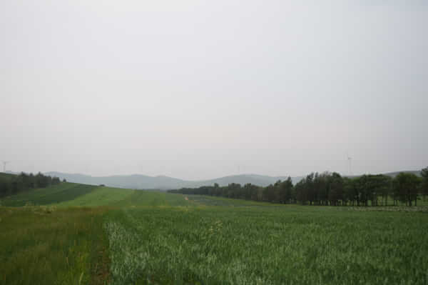 北京北戴河锡林郭勒自驾游,北京和锡林郭勒旅游攻略