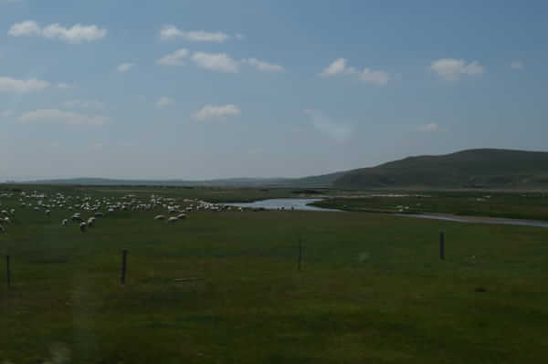 北京北戴河锡林郭勒自驾游,北京和锡林郭勒旅游攻略