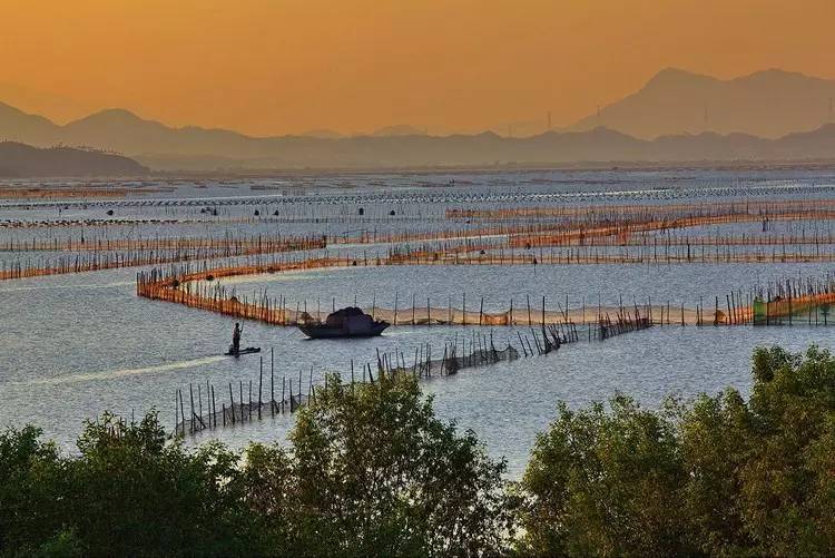不需要签证的最美海岛,最美海岛免签的地方