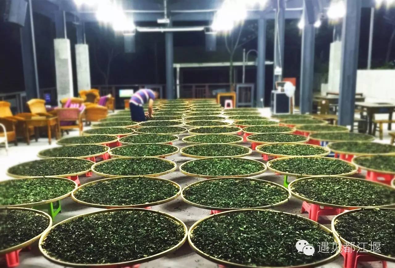 白鹭湾什么样,白鹭湾现在什么样子