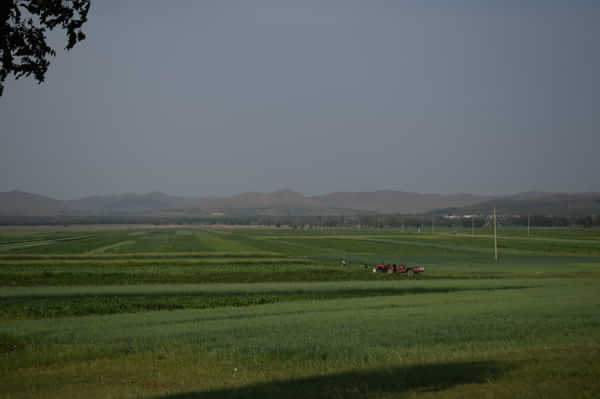 北京北戴河锡林郭勒自驾游,北京和锡林郭勒旅游攻略