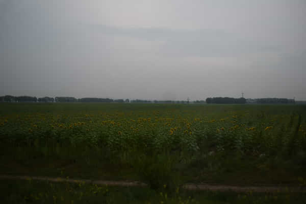 北京北戴河锡林郭勒自驾游,北京和锡林郭勒旅游攻略