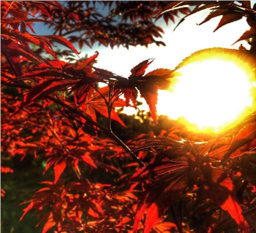 一个外地人对临潼的真实评价