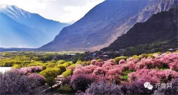 去西藏林芝旅行,去西藏林芝有什么风景