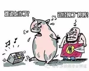 哈尔滨最坑人的地方,哈尔滨最坑人的一个地方