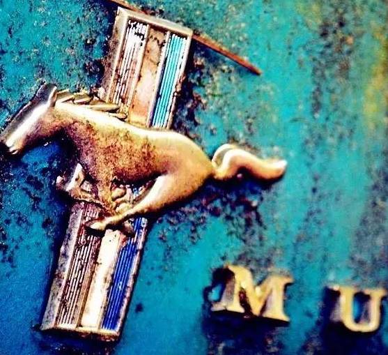 夏威夷旅游要租车吗,夏威夷要租车吗