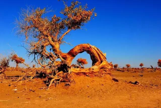 国内旅游值得去的地方,国内最值得去40个景点