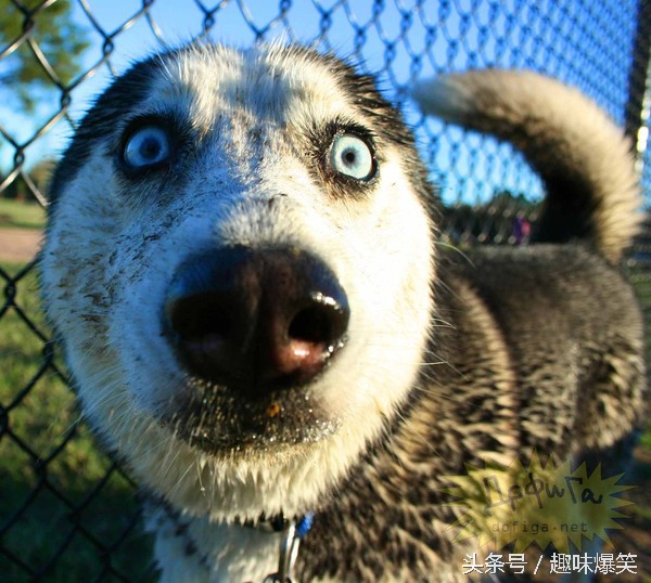 今天第一次看到女朋友下面,黑不溜秋的两片肉,我发飙了。
