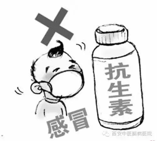 中医中的抗生素有哪些,中医专家推荐的消炎药