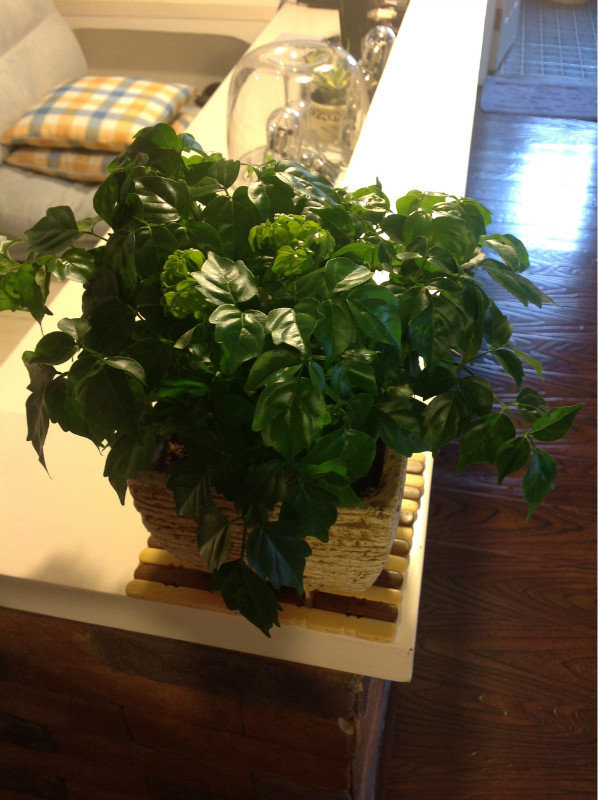 深圳地中海榻榻米定制风格,地中海榻榻米卧室装修效果图