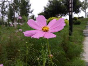 360n4s手机详细测评,360n4s骁龙版评测