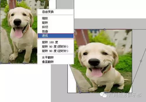 鱼眼镜头拍摄技巧,摄影镜头各种焦距