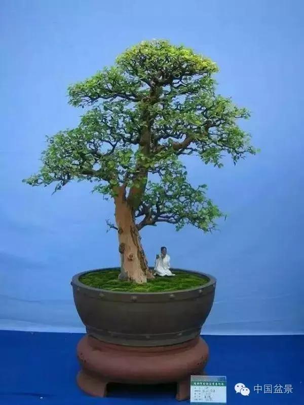 相识满天下知己有几人谁说的,相识满天下知己无一人出处