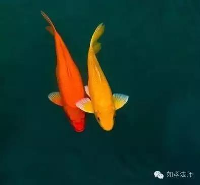 从根本上调理更直接更彻底,从根源解决情绪问题