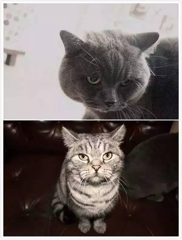 香港小众杂货铺,香港小众品牌