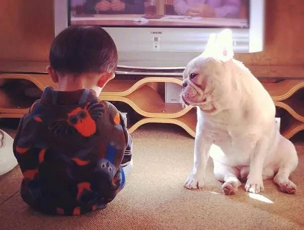 新手入门性价比高的微单相机推荐,3000元到4000元全画幅微单推荐