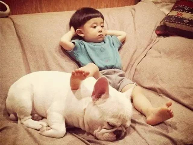 生个孩子养只猫和狗,生个孩子养只狗