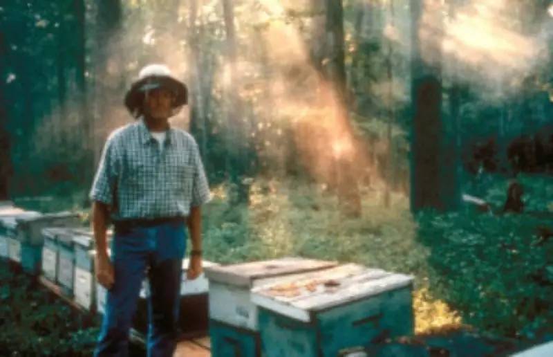 老中医蜂蜜系列,老中医秘制蜂蜜