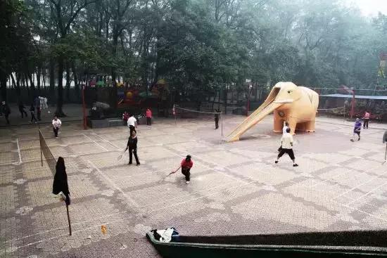 七大美女齐聚信阳！看看她们都是谁?