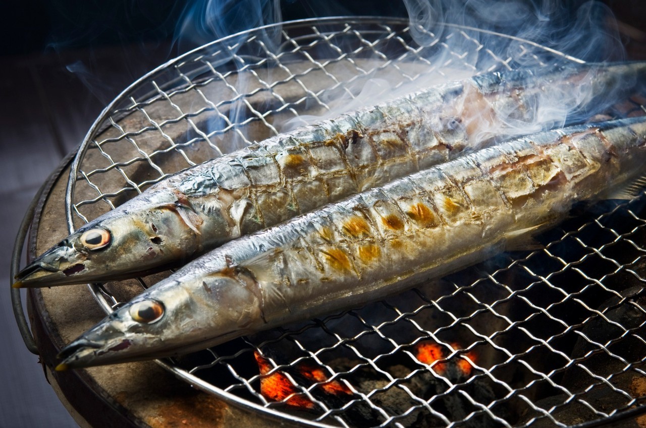 日本海鲜美食旅行,日本旅游品尝海鲜