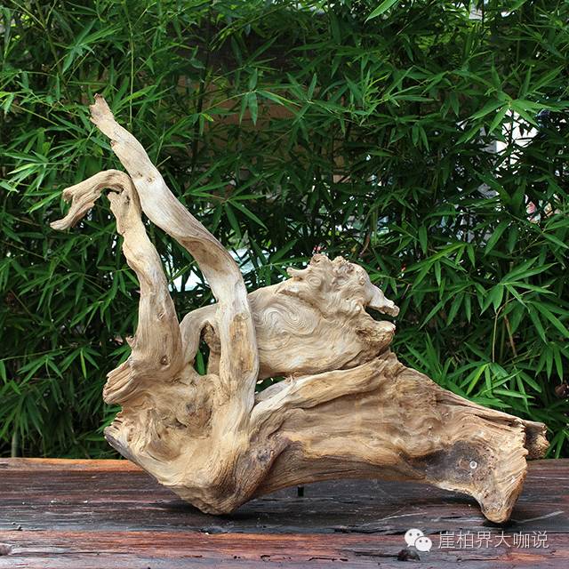 怎样才能买到又便宜又好的崖柏毛料？