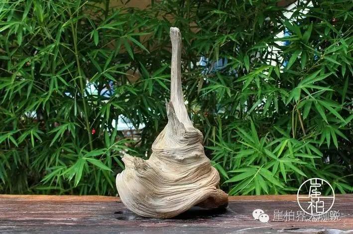 怎样才能买到又便宜又好的崖柏毛料？