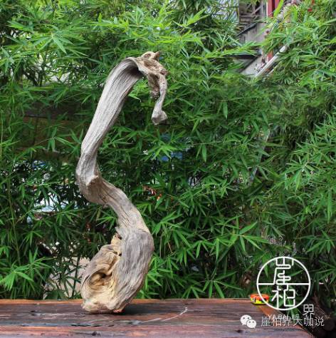 怎样才能买到又便宜又好的崖柏毛料？