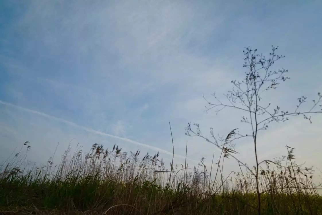 微博为什么会存在被盗风险,微博怎么被盗的