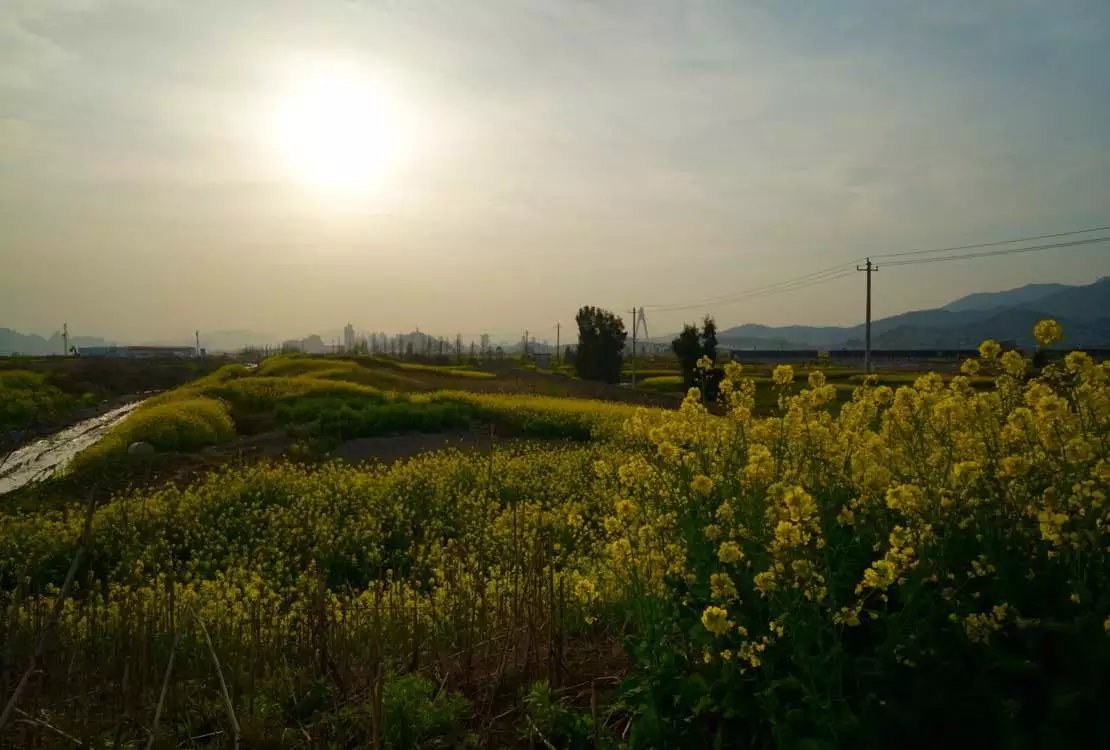 微博为什么会存在被盗风险,微博怎么被盗的