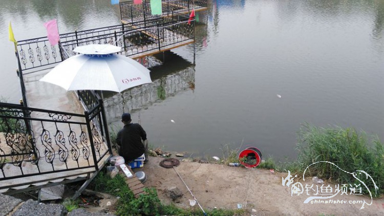 跑鱼断钩的视频,跑鱼断竿