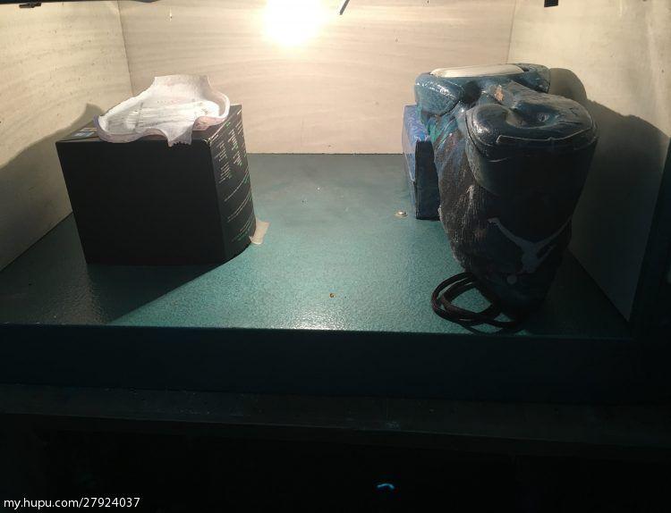 aj29所有配色,aj29换底教程