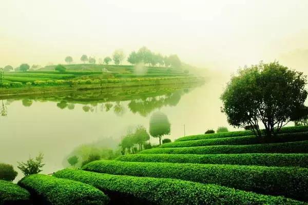 长沙农家乐玩的地方推荐,长沙50元一天包吃住农家乐