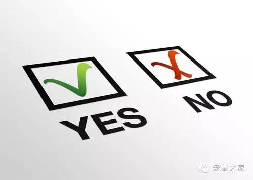 适合学生养的1元宠物,双鱼座适合养什么宠物