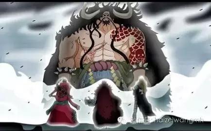 海贼王四皇为什么不去找路飞,海贼王路飞四皇大对决剧场