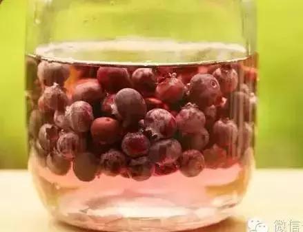 小小蓝莓果成为致富果,蓝莓果喜成增收致富果