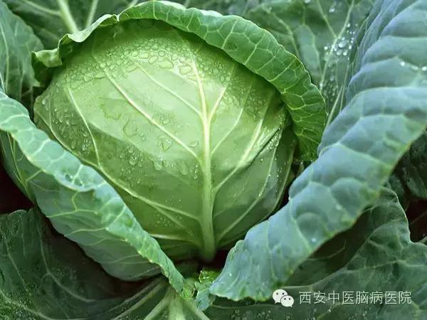 中医中的抗生素有哪些,中医专家推荐的消炎药