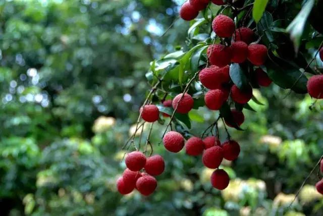 曾经那些读不懂的课文,曾经课文