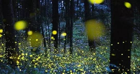 望月诗词鉴赏,秋夜诗词欣赏