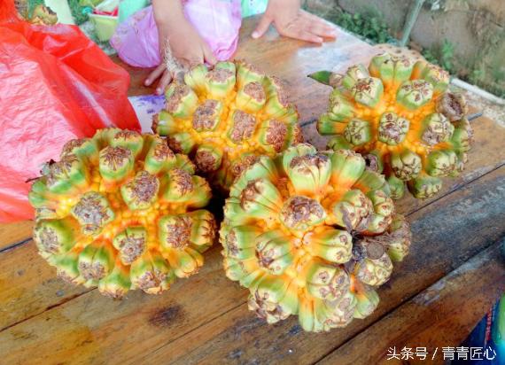 中国涠洲岛火山岛,带你去中国最年轻火山岛看一看