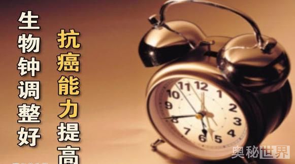 夜以继日的意思,同日以继夜的区别