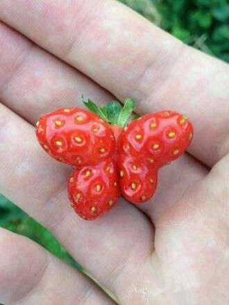 速度不知道快不快！你这网吧高是高，老板