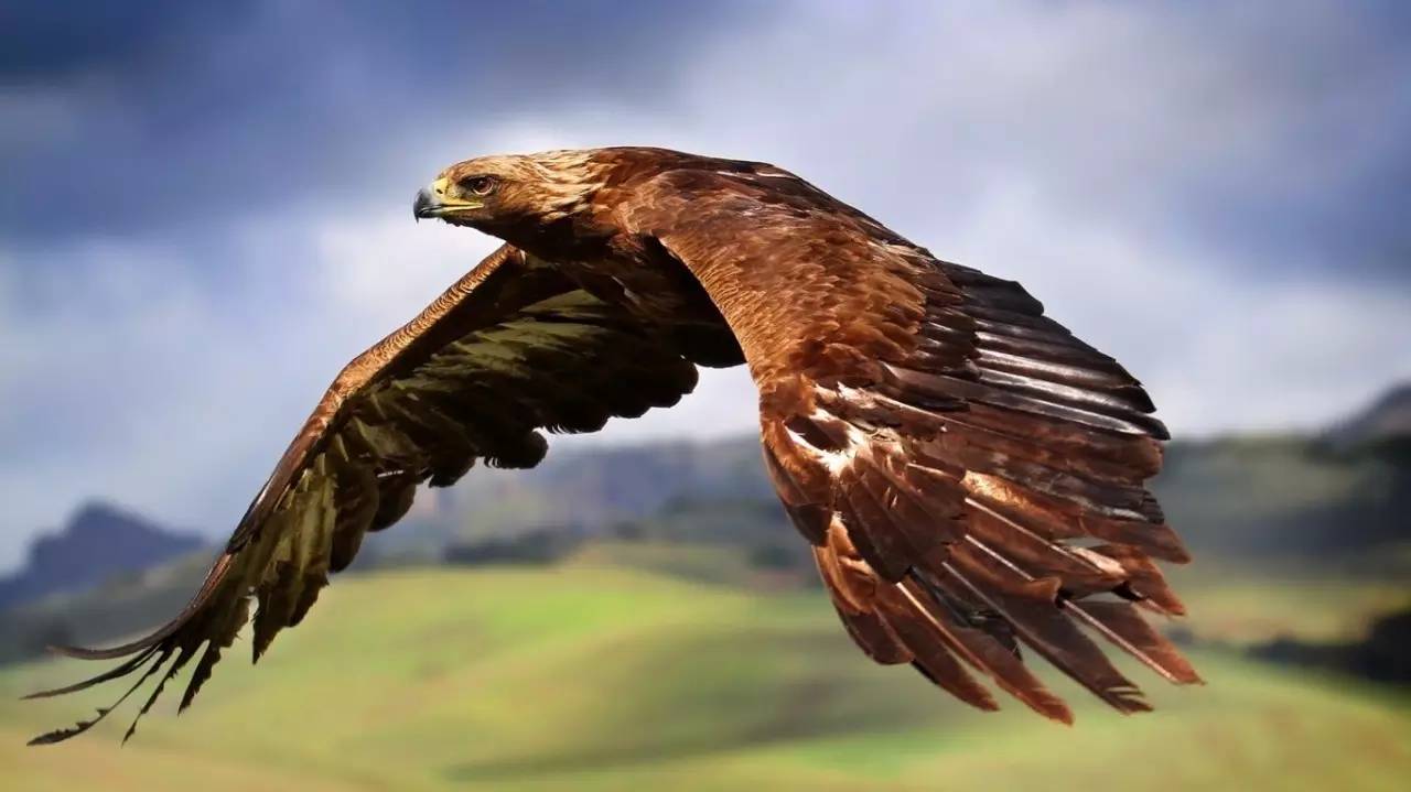 老师体罚犯错的学生,严厉的女老师罚笨学生