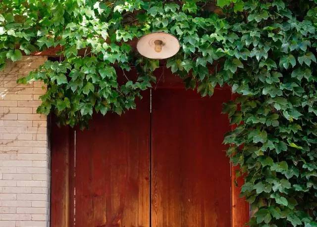 新手入门性价比高的微单相机推荐,3000元到4000元全画幅微单推荐