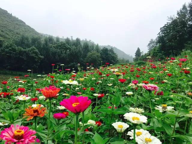 豫西大峡谷漂流价格,豫西大峡谷漂流团购