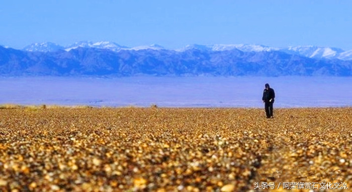 新疆拾石攻略,史上最全南疆戈壁捡玉石地点
